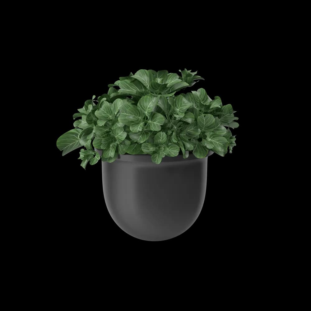 Plant Pot — image 1 of 3