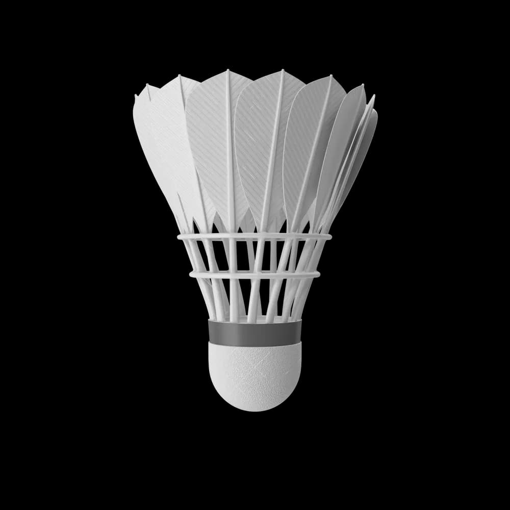 Feather Shuttlecock — image 1 of 1