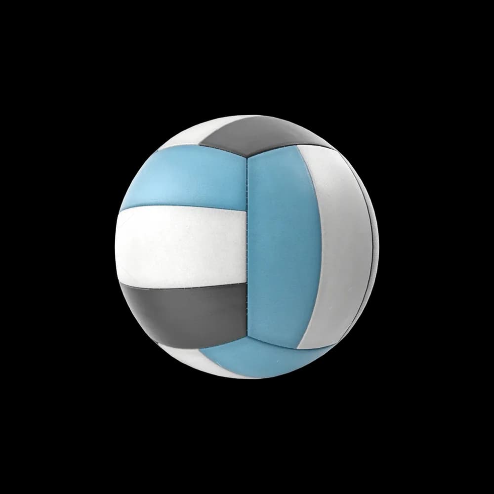 Volleyball — image 1 of 1